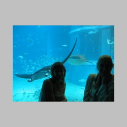 25 jesesmy na samym dole.html